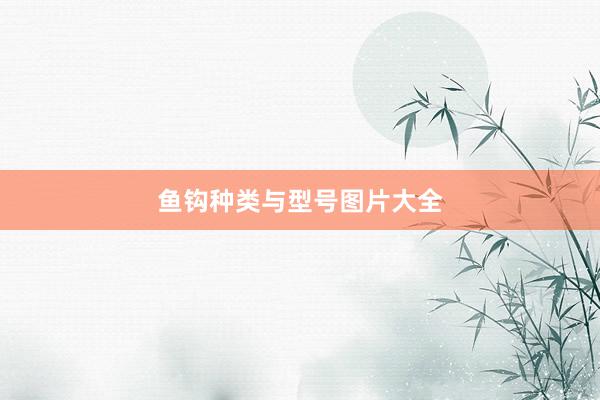 鱼钩种类与型号图片大全